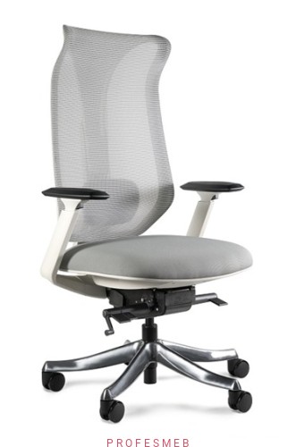 fotel-obrotowy-szary-tapicerowany-siatka-i-tkanina-sklep-profesmeb-ergonomiczny-pelna-regulacja-do-pracy-podparcie-ledzwi-poznan-biura-szkoly-urzedy.jpg