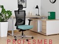 ergonomiczny-fotel-biurowy-do-stanowisk-pracy-ergonomiczny-z-regulacja-podlokietnikow-oparcia-siedziska-sklep-poznan-polska-warszawa.jpg
