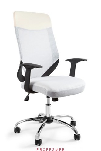 ergonomiczny-fotel-do-pracy-MOBI-PLUS-bialy-z-regulowanym-oparciem-na-podstawie-kolkach-podlokietniki-sklep-profesmeb.jpg