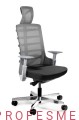 fotel-ergonomiczny-SPINELLY-z-regulowanymi-podlokietnikami-do-pracy-zaglowek-mechanizm-synchron-i-oparcie-na-ledzwie-sklep-profesmeb.jpg
