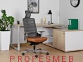 fotel-ergonomiczny-spinelly-z-zaglowkiem-oparciem-mechanizmem-synchron-i-regulacja-podlokietnikow-sklep-profesmeb.jpg