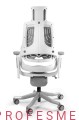 ergonomia-wygoda-fotel-gabinetowy-Wau-z-podlokietnikami-zaglowkiem-regulowane-mechanizm-sild-solidny-w-elastomerze-2-rozne-kolory-sklep-profesmeb-poland.jpg