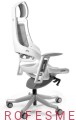 fotel-ergonomiczny-Wau-do-biura-pracy-ergonomiczny-elastomer-rozne-kolory-niska-cena-pomoc-profesmeb-ekspert-w-branzy-wyposazania-wnetrz.jpg