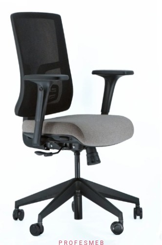 fotel-biurowy-ergonomiczny-Skill-z-regulowanymi-podlokietnikami-zaglowkiem-do-dokupienia-i-regulacja-ledzwi-sklep-profesmeb.jpg