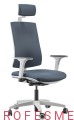 ergonomiczny-fotel-do-pracy-przy-biurku-SKILL-SOFT-dla-pracownikow-regulowane-podlokietniki-oraz-zaglowek-kolor-dostosuj-do-swojej-firmy-sklep-poznan-profesmeb-online.jpg