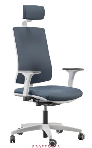 ergonomiczny-fotel-do-pracy-przy-biurku-SKILL-SOFT-dla-pracownikow-regulowane-podlokietniki-oraz-zaglowek-kolor-dostosuj-do-swojej-firmy-sklep-poznan-profesmeb-online.jpg