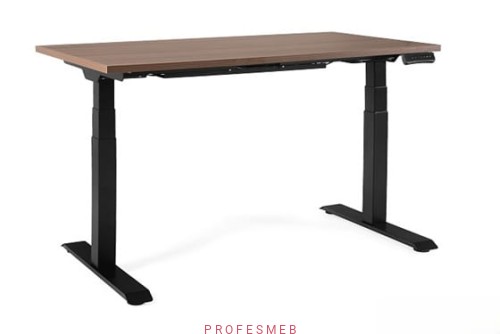 biurko-elektryczne-z-blatem-drewnianym-regulowanym-gora-dol-panelem-sterujacym-unique-grow-sklep-profesmeb-profesjonalne-meble-biurowe-poznan-polska.jpg