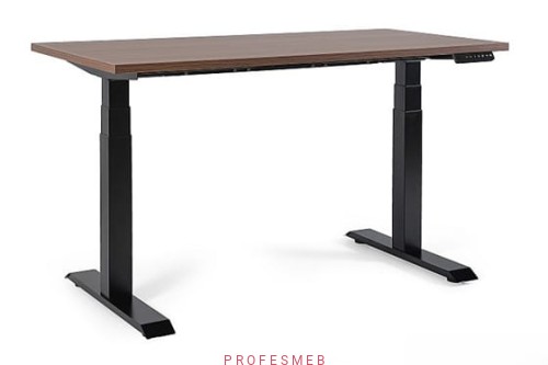 biurko-elektryczne-nowoczesne-z-regulacja-wysokosci-pamiec-pozycji-pracy-3-tryby-stylowe-biurka-do-biura-domu-meble-biurowe-sklep-profesmeb.jpg