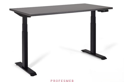 nowoczesne-biurko-ergonomiczne-z-regulacja-elektryczna-wysokosci-blatu-do-domu-i-biura-w-firmie-lub-domu-sklep-profesmeb.jpg